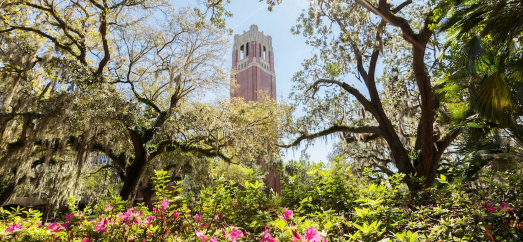 A tall brick bell tower rises above lush green trees and blooming pink flowers under a sunny blue sky. Spanish moss hangs from the branches, creating a scenic, tranquil atmosphere.