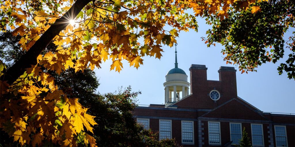 Sunlight shines through autumn leaves on a tree, with a red-brick building featuring a cupola and clock partially visible in the background against a clear blue sky.