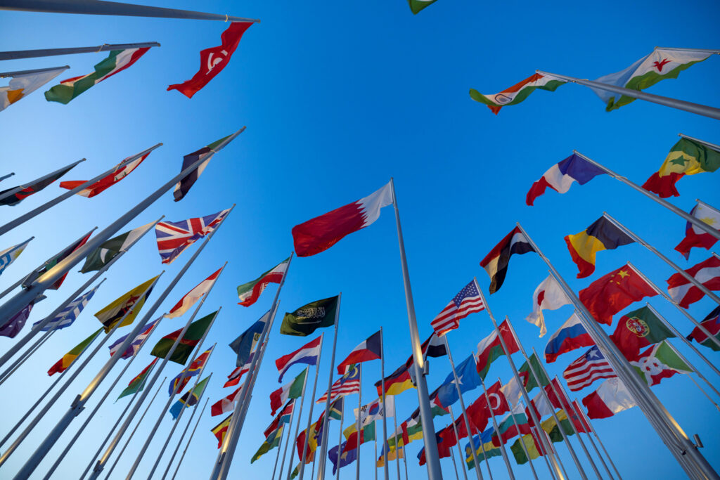 Dozens of international flags from various countries are displayed on tall flagpoles, waving against a clear blue sky, symbolizing global unity and diversity.